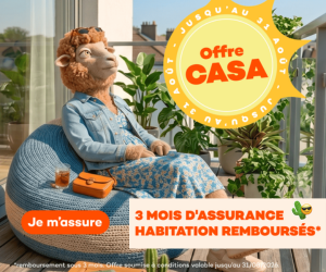 Publicit&eacute;