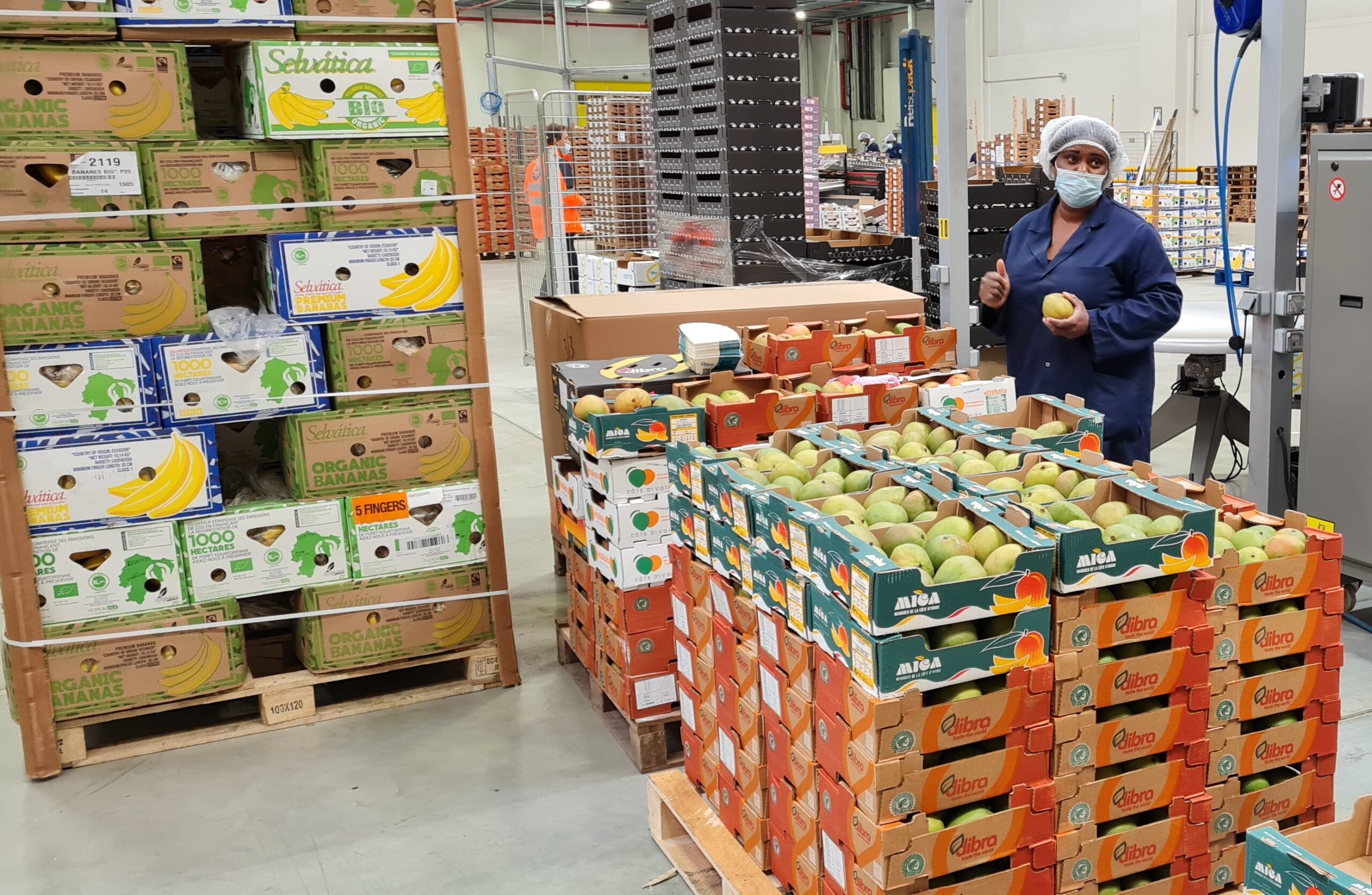 NAMR : Pourquoi NamR et Omer-Decugis vont réussir leur introduction en Bourse