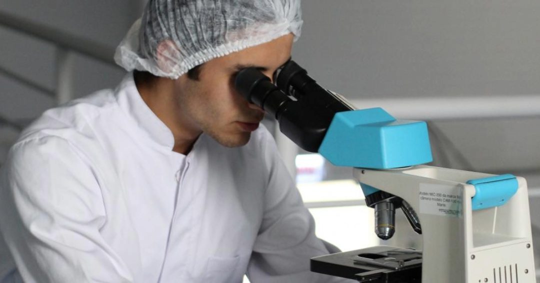 L&rsquo;efficacité mitigée du crédit d&rsquo;impôt recherche