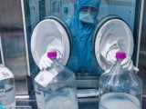 Course aux vaccins : le géant GSK déploie sa machine de guerre à Saint-Amand