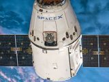 Internet par satellite : Starlink, le réseau d'Elon Musk étend sa toile