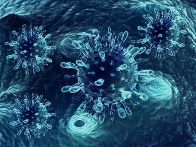 Perturbateurs endocriniens : adoption des critères de définition par les Etats membres
