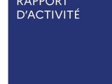 Agence des participations de l'Etat : rapport sur l'Etat Actionnaire 2010