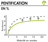 Pentification de la courbe des taux