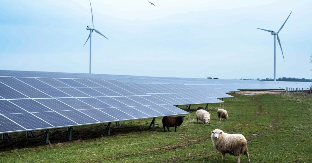 La bulle des énergies renouvelables a explosé depuis la pandémie