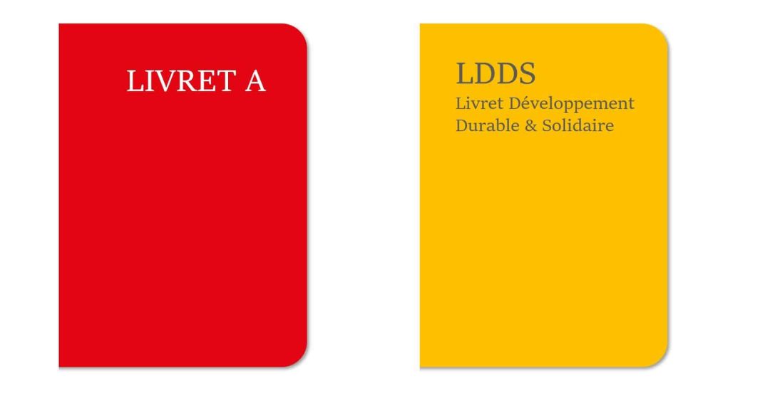 Un record historique pour les intérêts des livrets A et LDDS en 2024